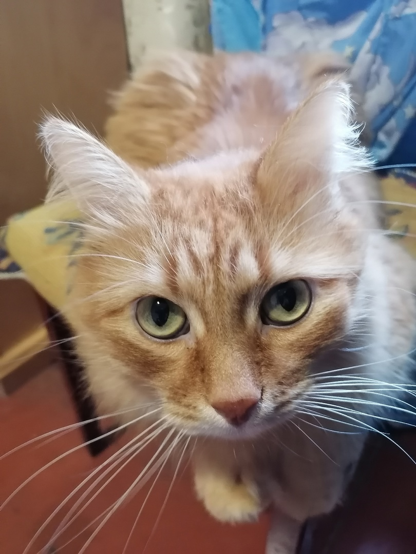 Фото автора. 