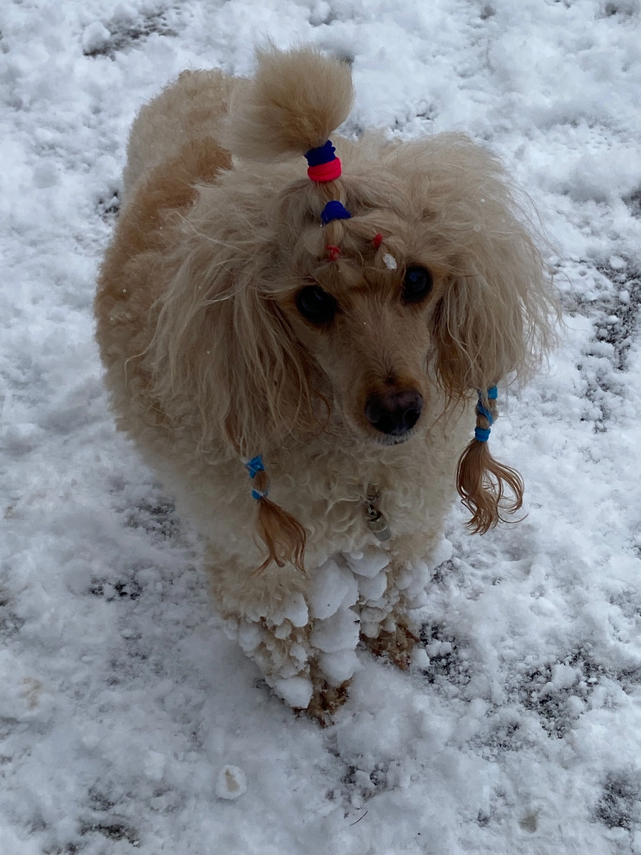 «А это моя любимая мама, “снегурочка” Зарочка. Фото из личного архива автора.