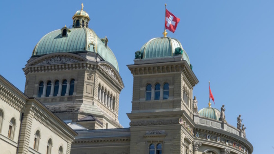    В Швейцарии заявили о готовности провести переговоры по Украине Виктория Шварц