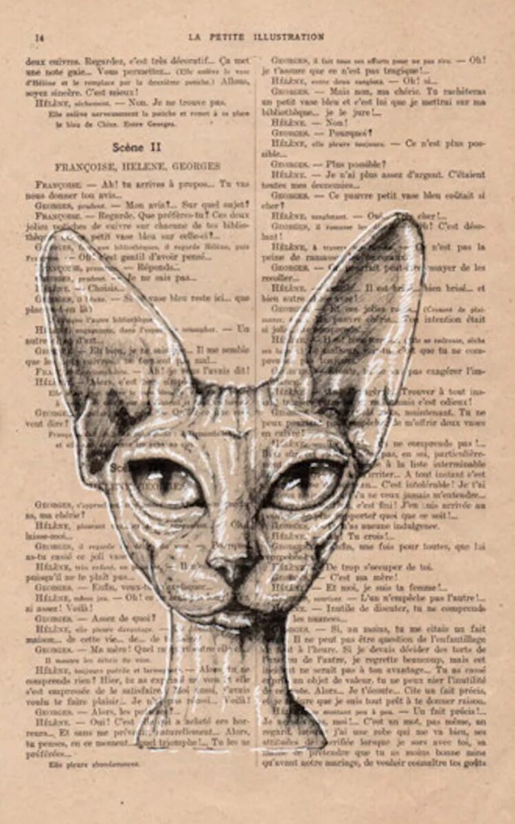 Мексиканский сфинкс