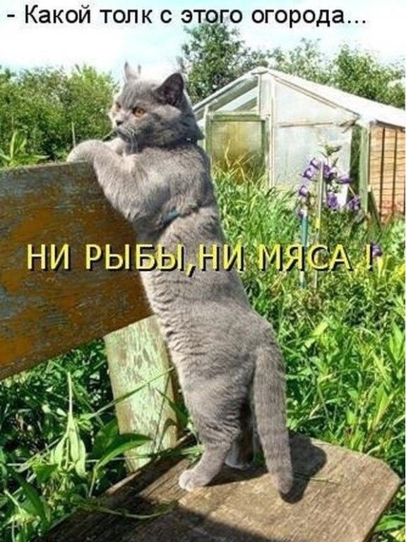 Картинка с сайта pinterest.com