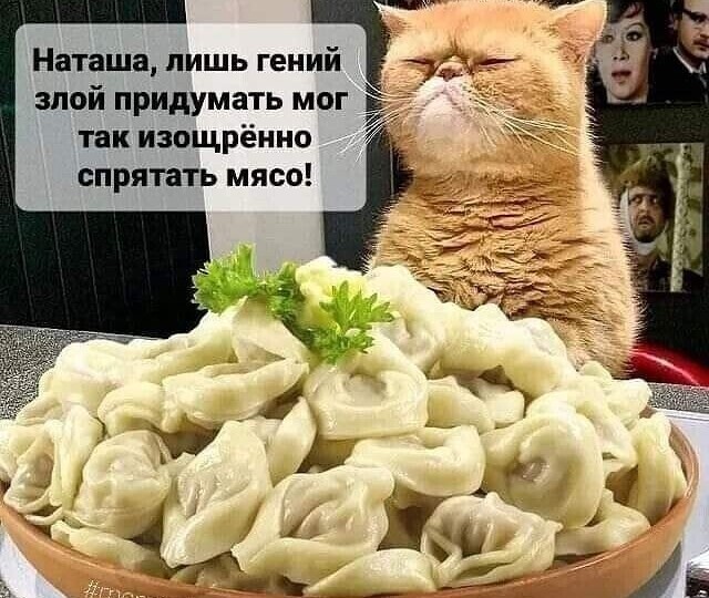 🐱 Пушистые гурманы: 20 топовых мемов о котах и еде