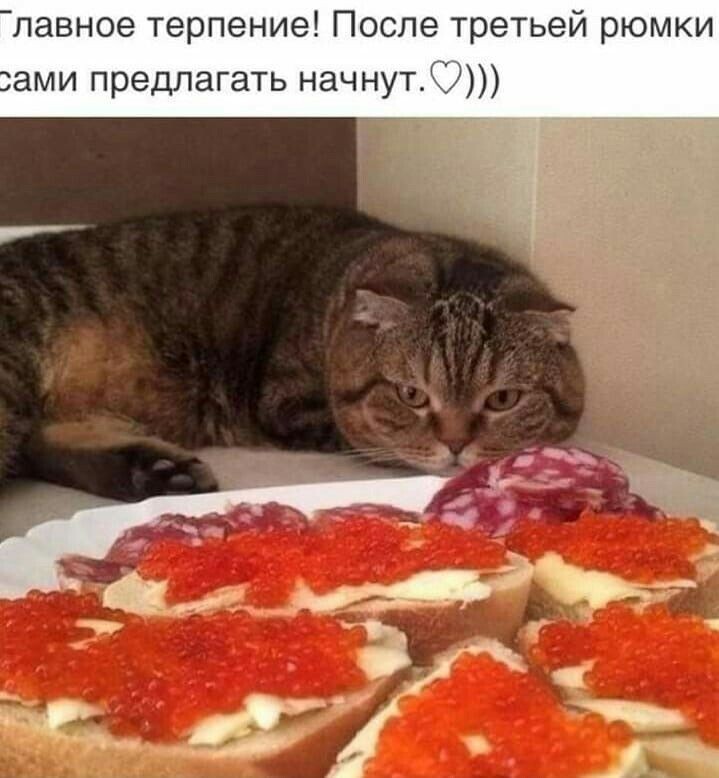 Картинка с сайта pinterest.com