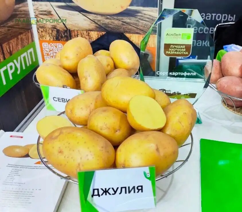 Картофель ДЖУЛИЯ стал лучшей научно-практической разработкой на АГРОТЕХ 2025 (источник: © Артем Борисов / Glavagronom.ru)