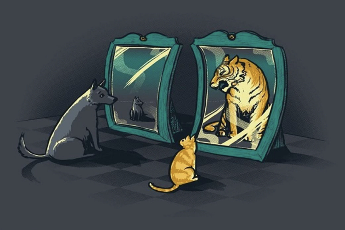 Фото из интернета 