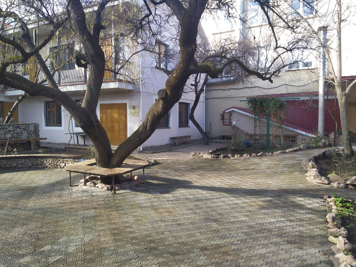 По-крымскому уютный и по-крымский Зимний дворик Хайдельберг-центра (с) Фото: Н. Остапцов