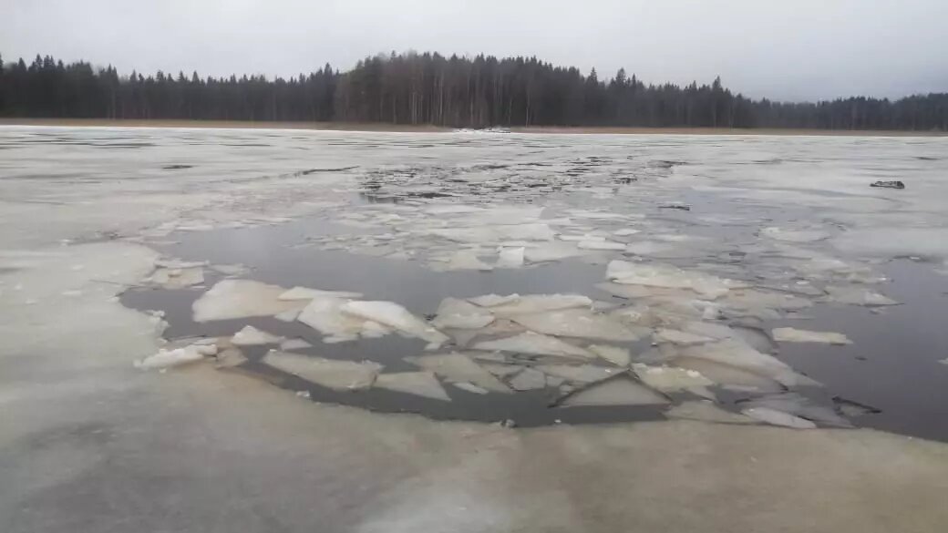     Источник: КПСС