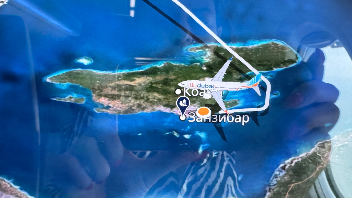 Весь полёт развлекалась картой