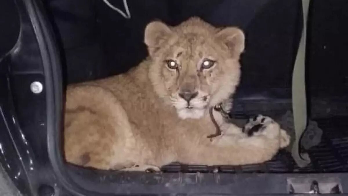     Источник: @gumvdskfo