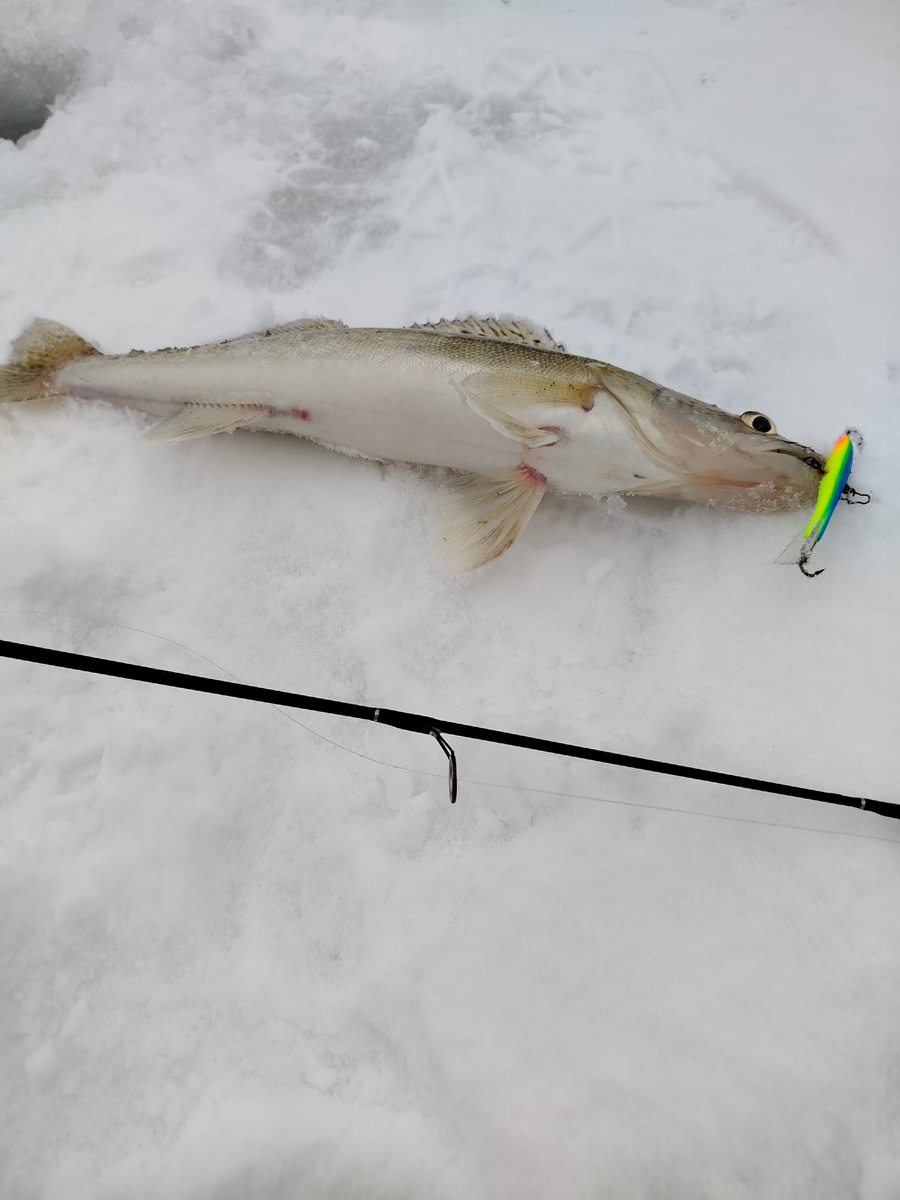 Был благополучно утоплен