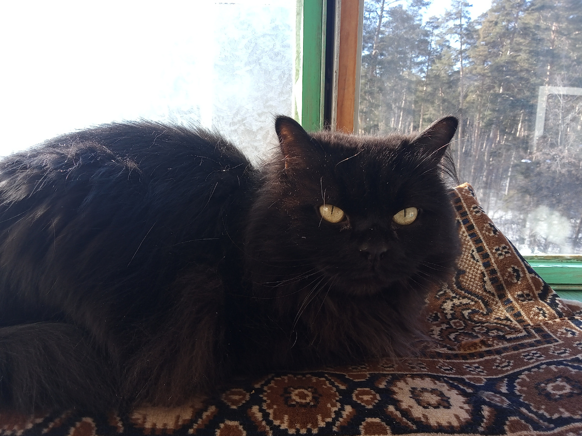 Васильев или Джаз. Фото автора