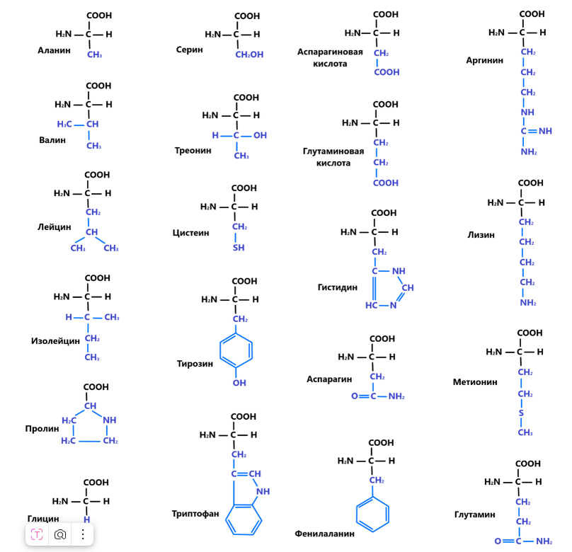 Аминокислоты, запоминать не нужно, на экзамене табличка будет
