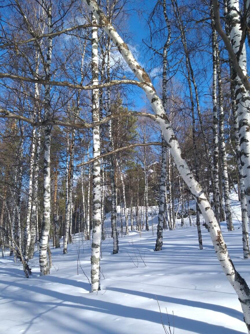 Это мы с группой ездили на турбазу с зимними восхождениями .