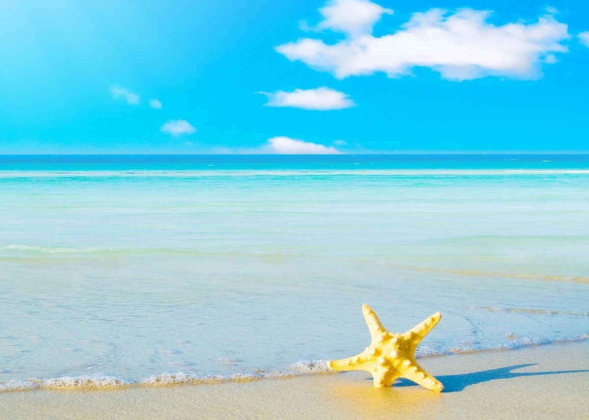 Картинка к статье- скрытая метафора : морские звёзды способны к регенерации:...