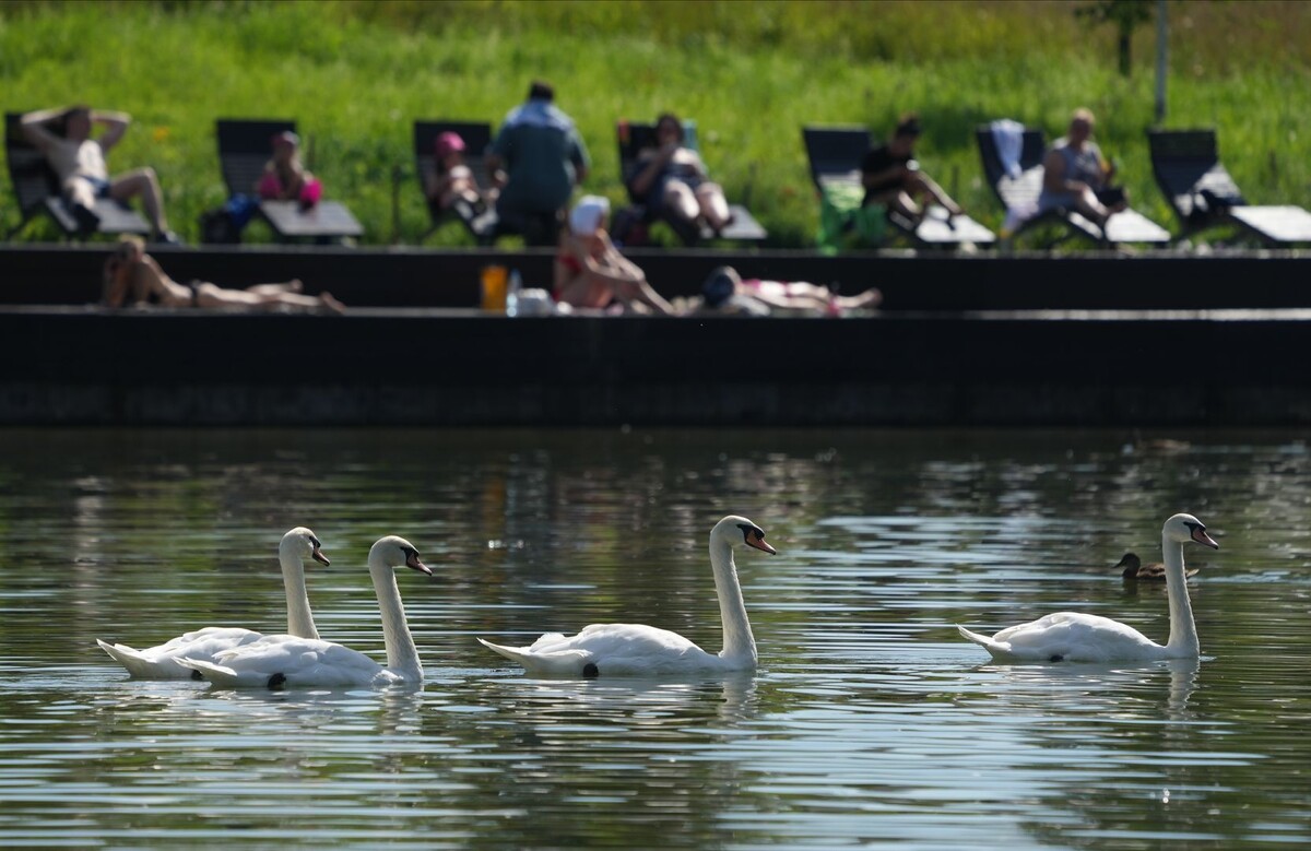     / Источник: © ИЗВЕСТИЯ/Дмитрий Коротаев