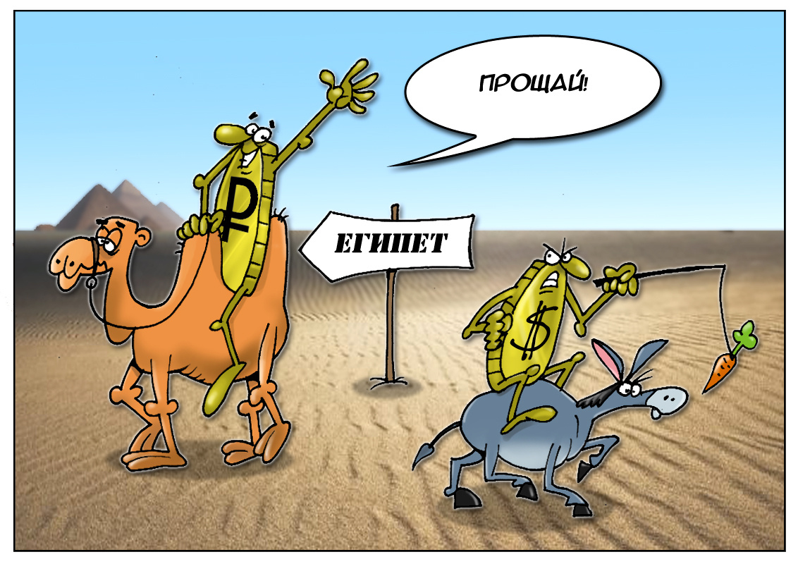 Фото из интернета.