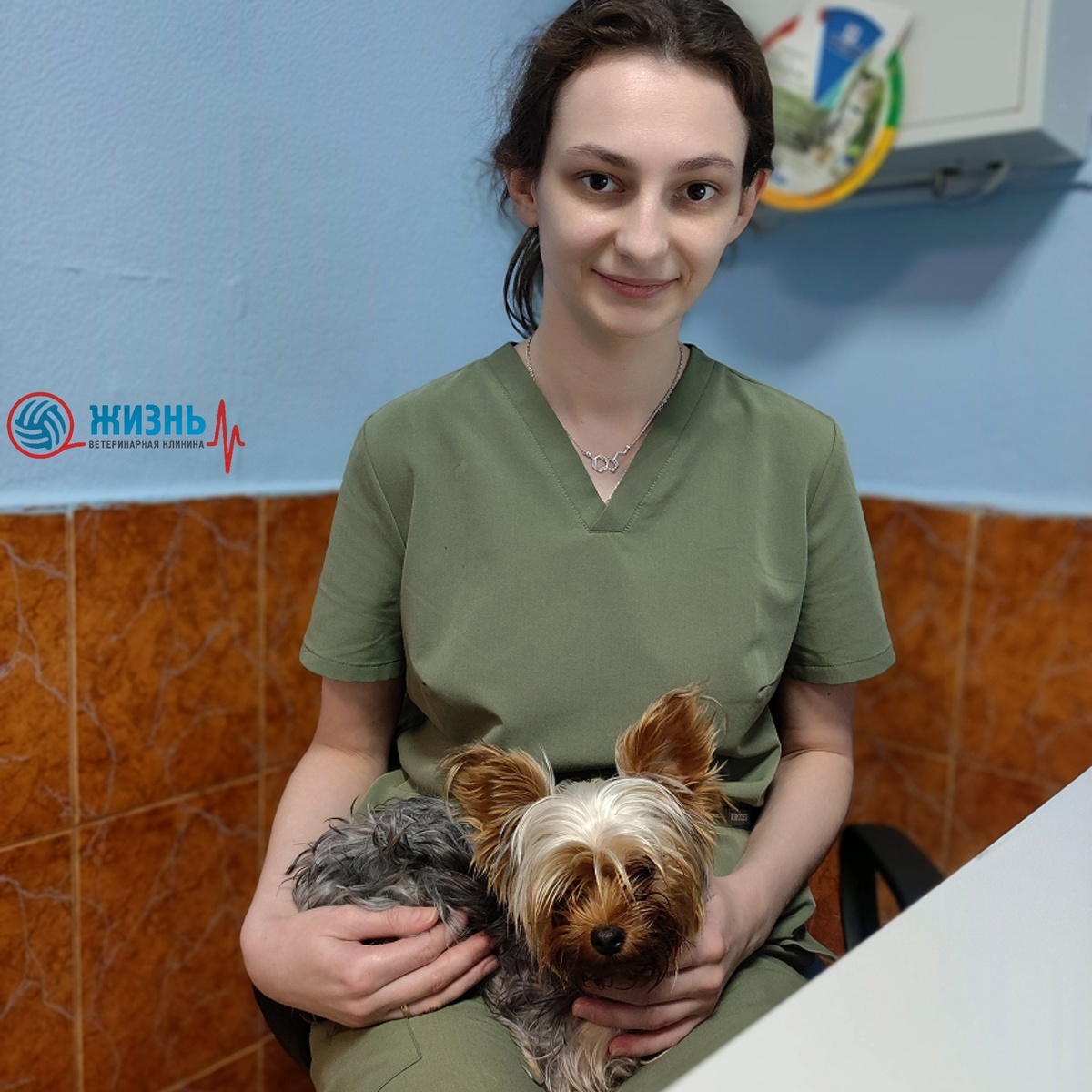 Ветврач хиурург в Калуге 