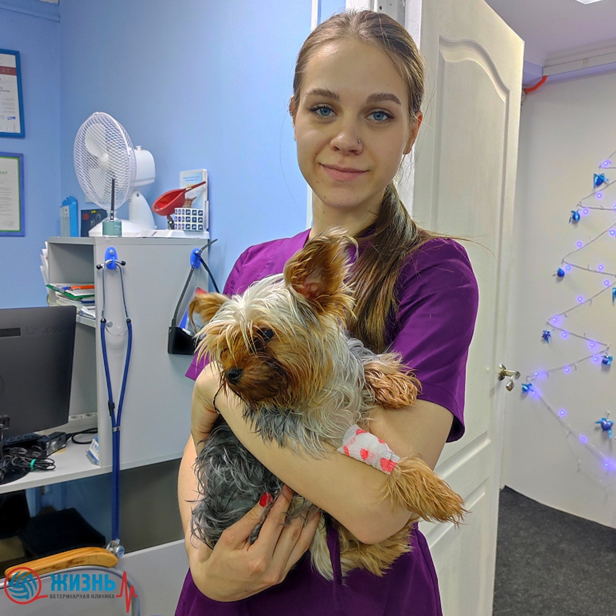 Операции животным в Калуге.