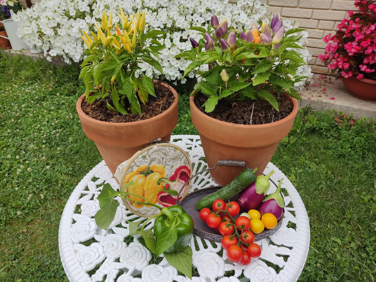 Присоединяйтесь к перечному флешмобу