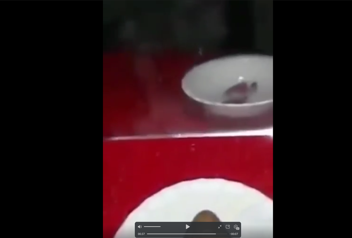 Камень не отображается в зеркале. 