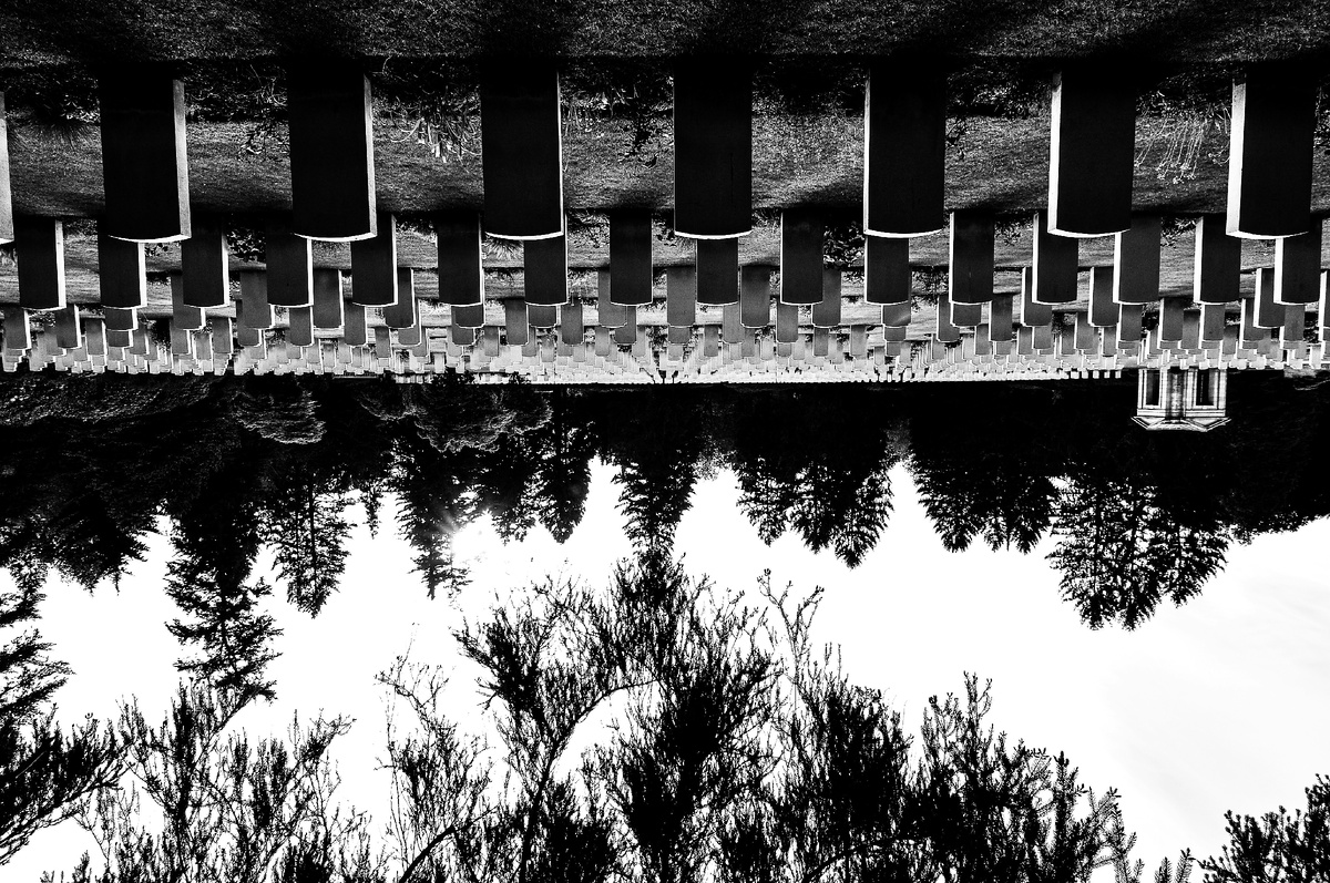 "И мы хотим всё сильнее, Нелегально или во сне, Сбежать из склепа, Штурмом взять небо"(с) Фото: Unsplash