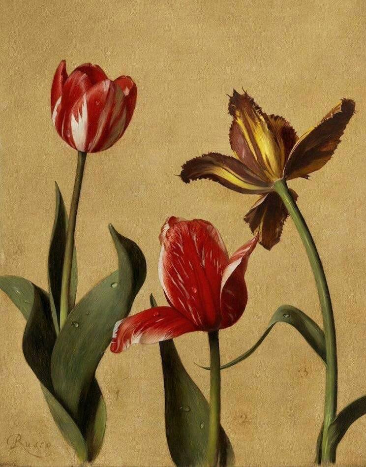 абота современного художника Карло Руссо