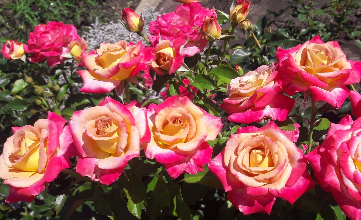 фото Марины