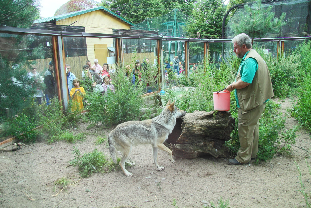 Ленинградский зоопарк в наши дни. Фото: Ленинградский зоопарк
