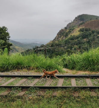 фото из инета