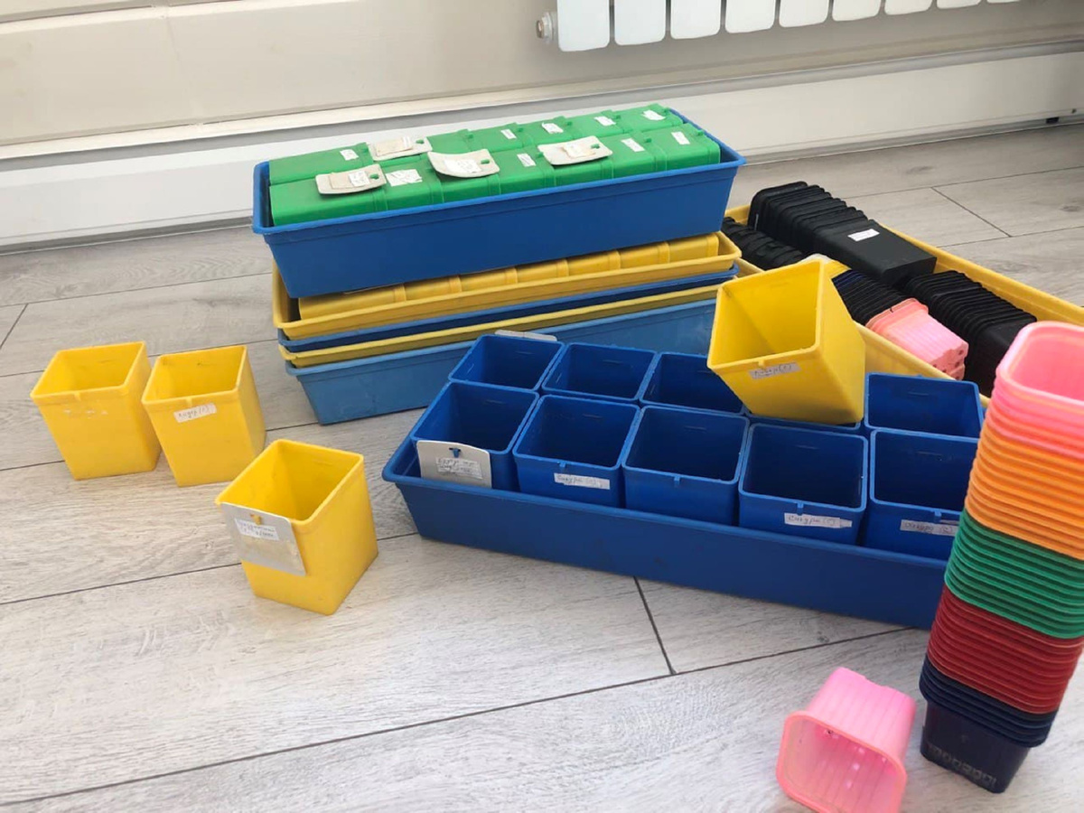 Фото автора канала Дом с кипарисами