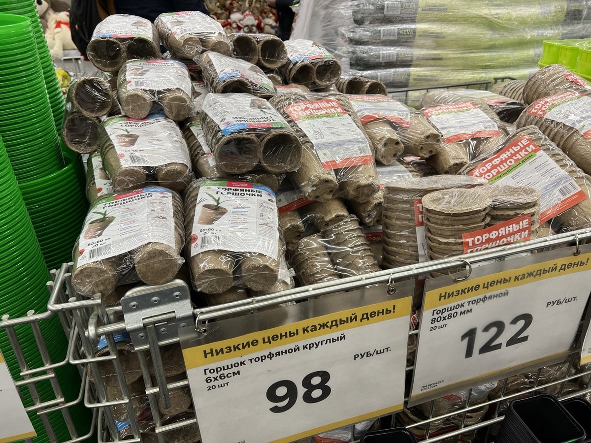 Фото автора канала Дом с кипарисами