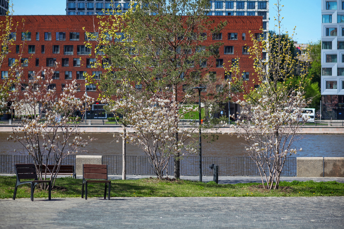Вид на набережную Марка Шагала.