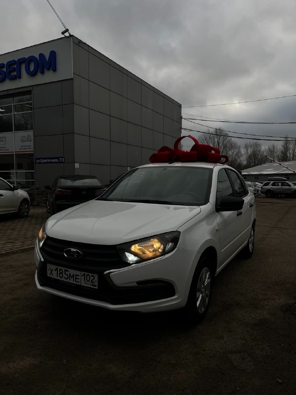 С бантом, вылизанная, все как положено 😂