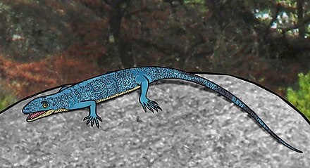 Миллерозавр.