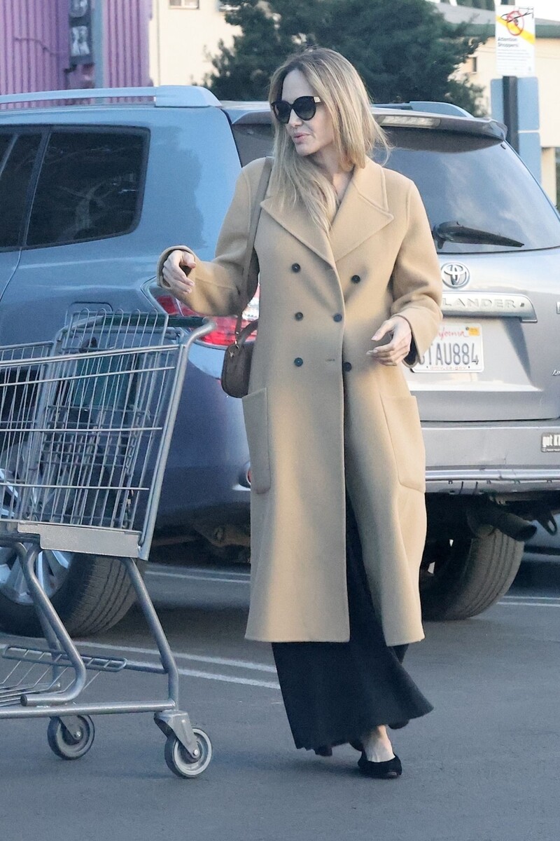 листайте галерею с образами Анджелины Джоли