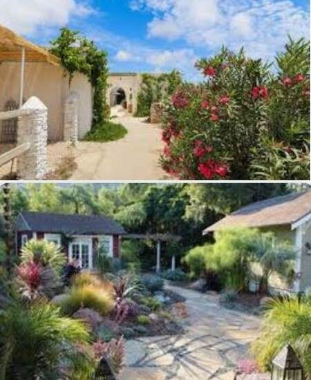 сады в средиземноморском стиле