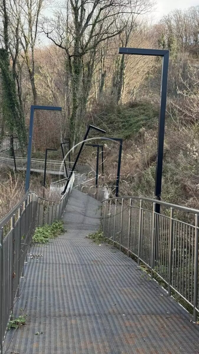     Источник: тг Любимый Сочи