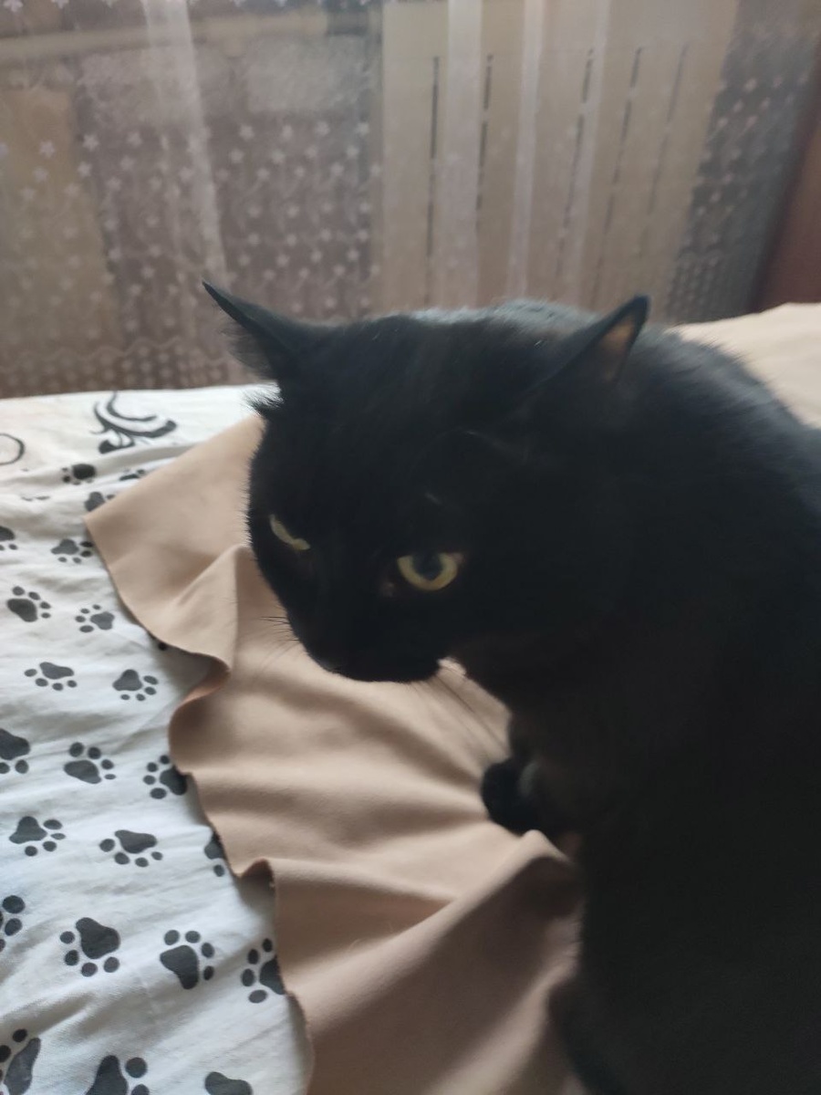 Фото автора.