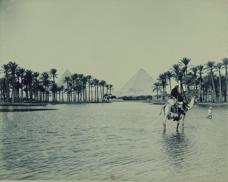 Разлив Нила непосредственно связан с появлением Сириуса на небосклоне