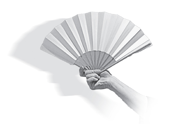 Веер - это существенное. Тень от веера - это несущесчтвенное