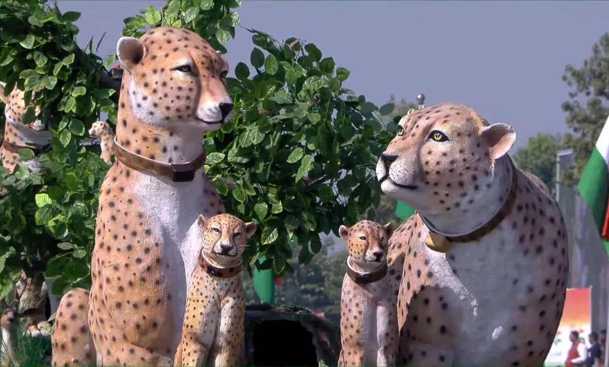 Платформа Мадхья-Прадеша