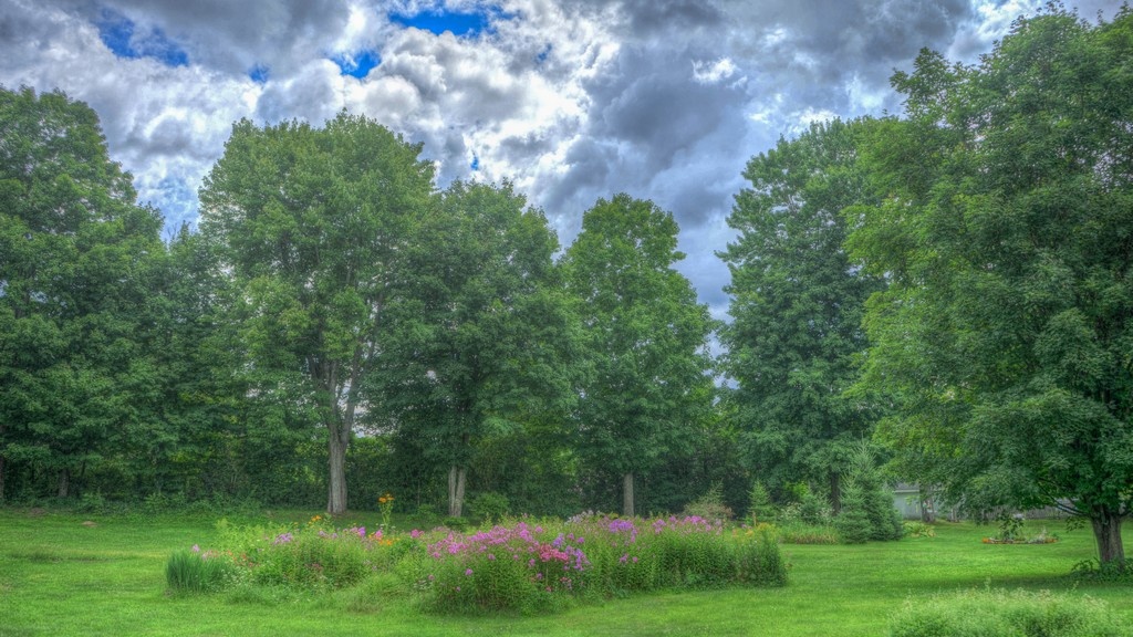 Ухоженный земельный участок: этапы освоения и благоустройства по новому закону № 307-ФЗ.