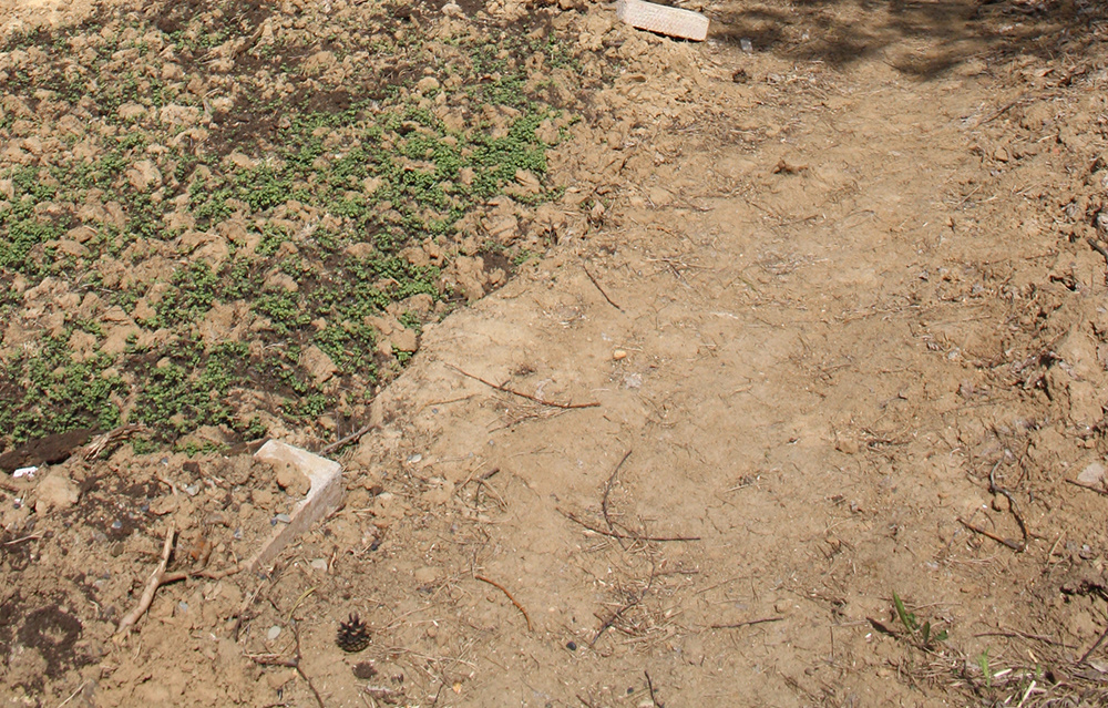 кругом одна глина