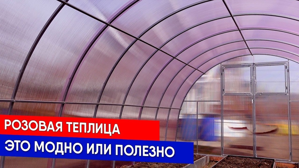 фото: https://i.ytimg.com/vi/qA56DD5vXR4/maxresdefault.jpg