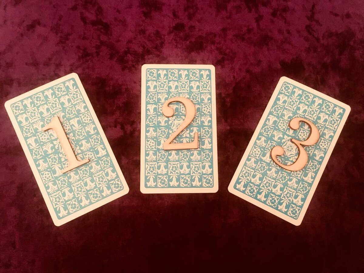 Фото автора. Выбор варианта 