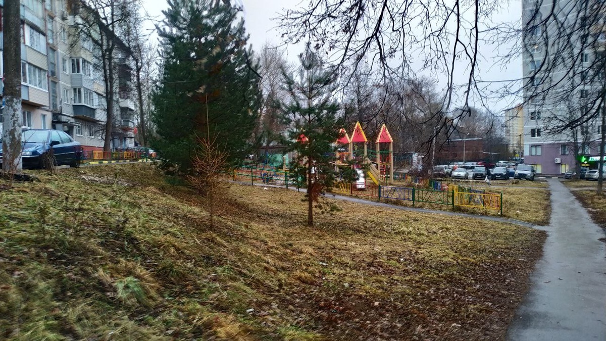 Утро в городе