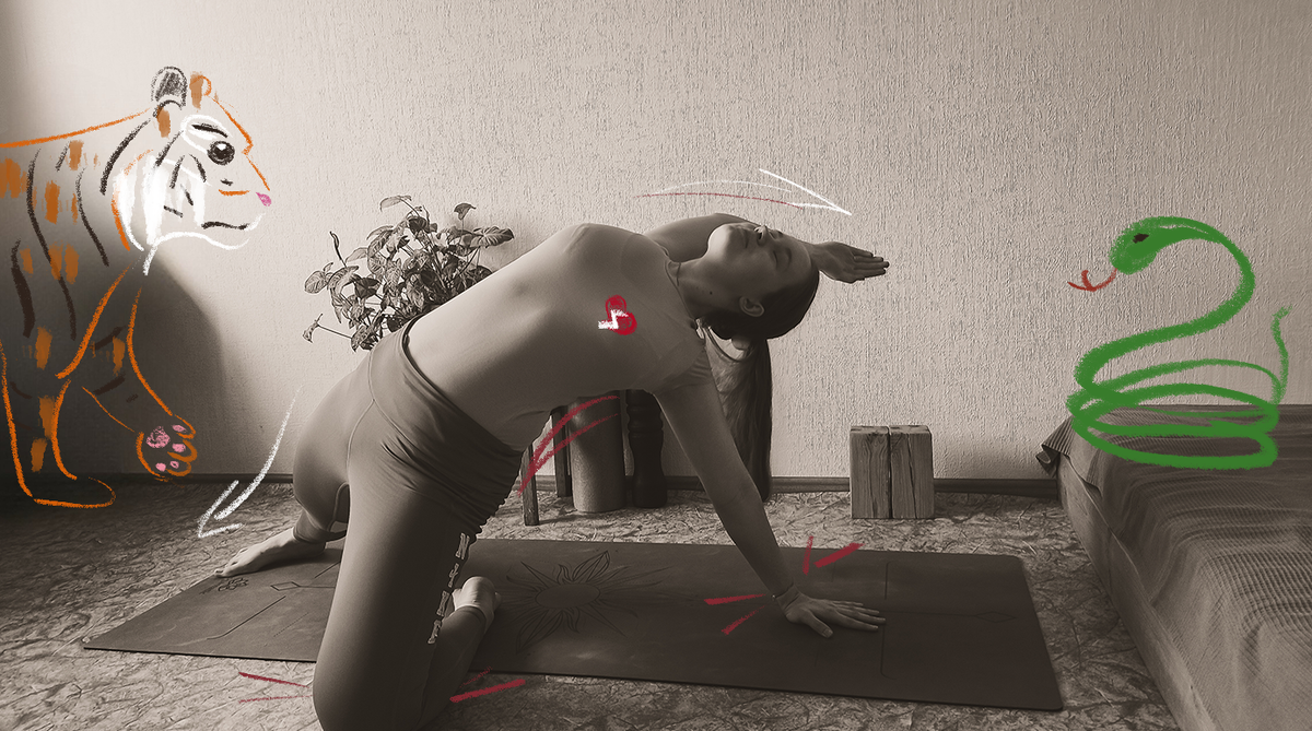 Йогу можно сравнить с веществом, которое при одних условиях — лекарство, а при других — яд 🐍