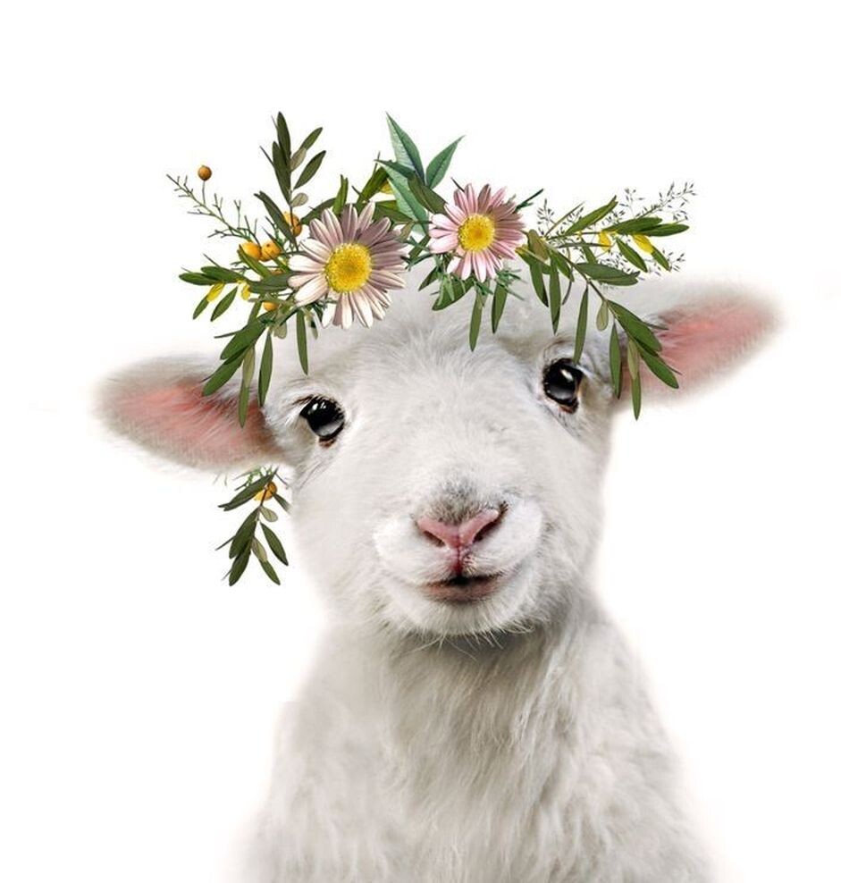 Гороскоп на февраль 2025 года. Овен