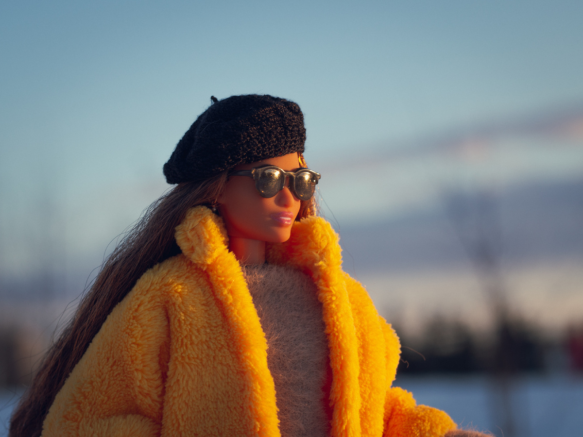 Barbie fashionistas 201 Джун на стандартном МТМ теле