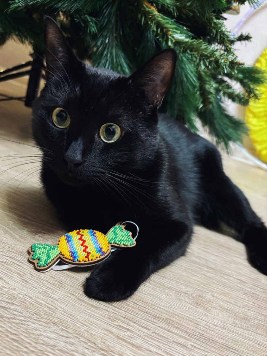 О, коньфетька!